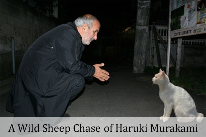 A Wild Sheep Chase in Search of Haruki Murakami