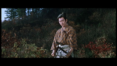 Ninjutsu image 1 Ninjutsu image 1