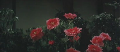 Red Peony Gambler image 4