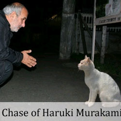 A Wild Sheep Chase in Search of Haruki Murakami