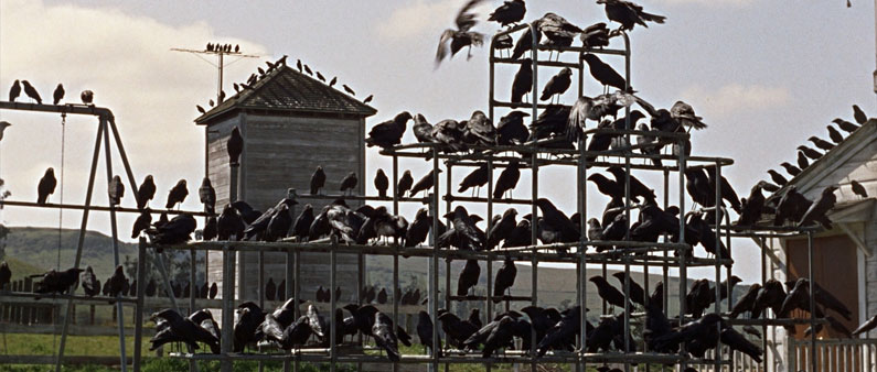 Les Oiseaux