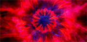 Enter the Void 4 Enter the Void 4
