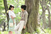 norwegian wood cover norwegian wood cover