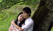 norwegian wood 5 norwegian wood 5